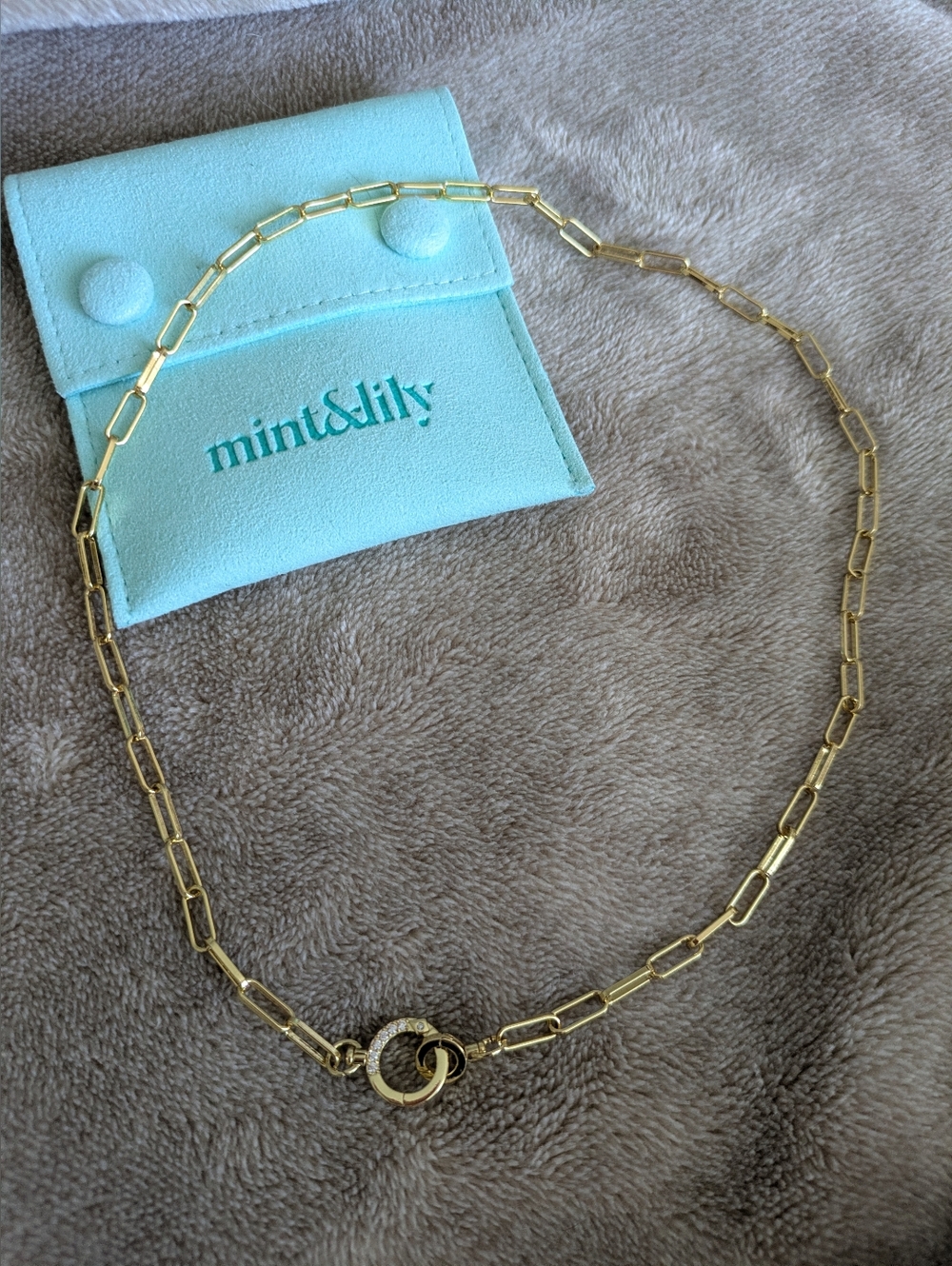 πmint&lily Pave Mint Paperclip Necklace - Picture 2 of 5